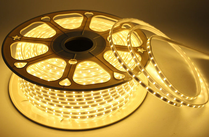 IP65 SMD5050 60LEDs/m 220V LED ストライプ 80 CRI FPC CE/RoHS 認証 南米