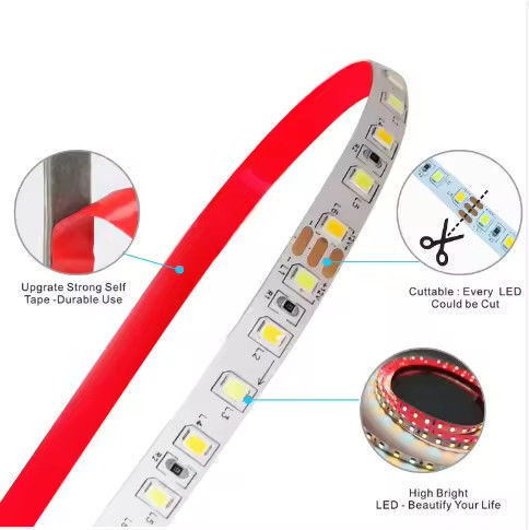 工場販売 二色 CCT LED ストライプライト 24v 色温 調節可能 120led 12v 光 2835 LED ストライプ 装飾