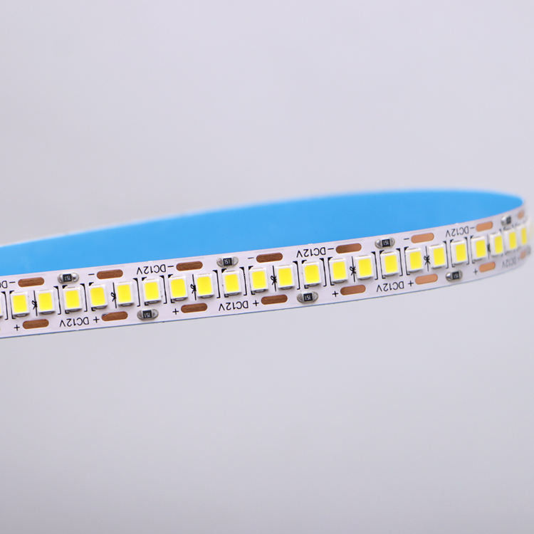 DC12V/24V 10mm 5M/Roll 2835 80Ra LEDストライプ 白いPCBと120°ビームアングル