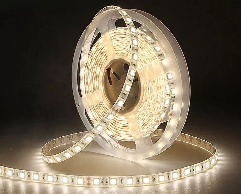 12w 12v 24v 10mm 60Leds Rgb 5050 Smd 柔軟なLEDストライプライト