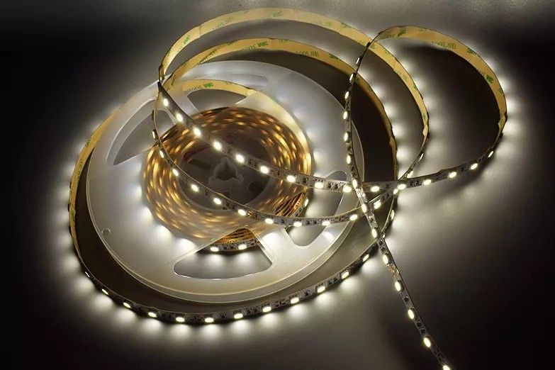 12w 12v 24v 10mm 60Leds Rgb 5050 Smd 柔軟なLEDストライプライト